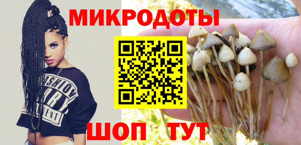 Псилоцибиновые грибы MAGIC MUSHROOMS  Псилоцибиновые грибы мицелий  Вход с VPN  Кувандык 