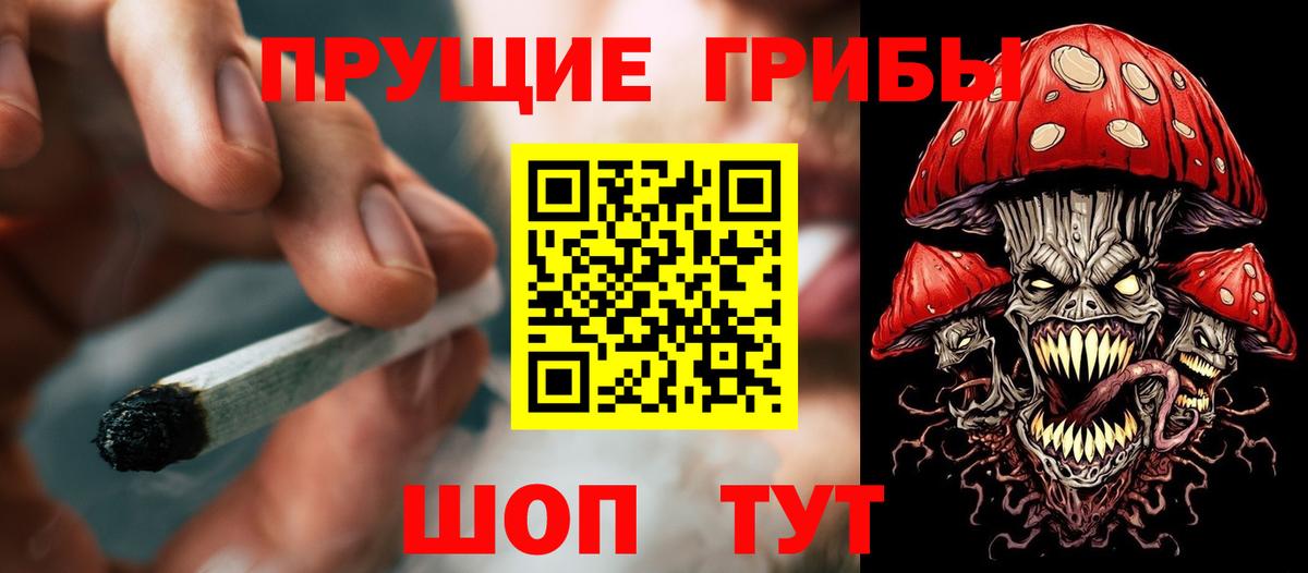 Псилоцибиновые грибы мицелий Кувандык